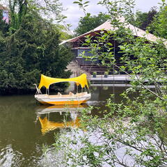 23-05-16 13-34-14 5411